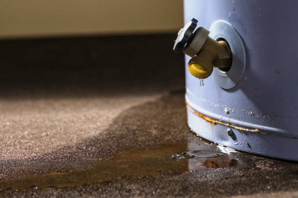Best Ceiling water damage repair  in Tallahassee, FL