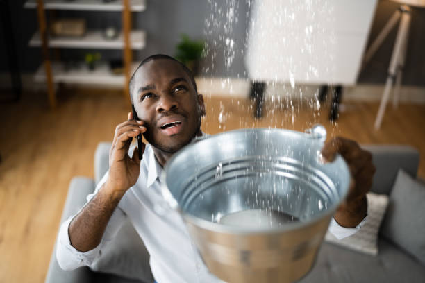 Best Water damage cleanup near me  in Tallahassee, FL