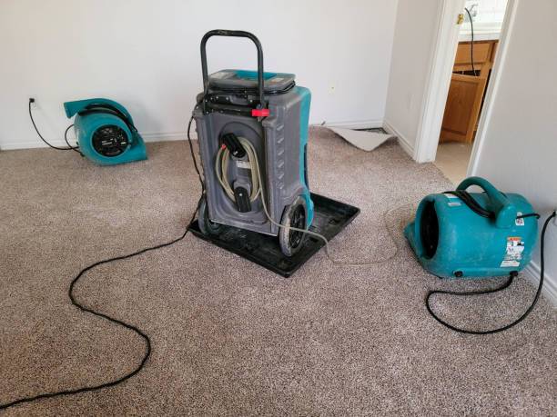 Professional Water damage restoration in Tallahassee, FL