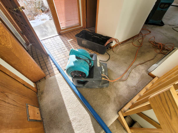 Best 24/7 water damage repair  in Tallahassee, FL