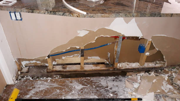 Best Flooded house restoration  in Tallahassee, FL