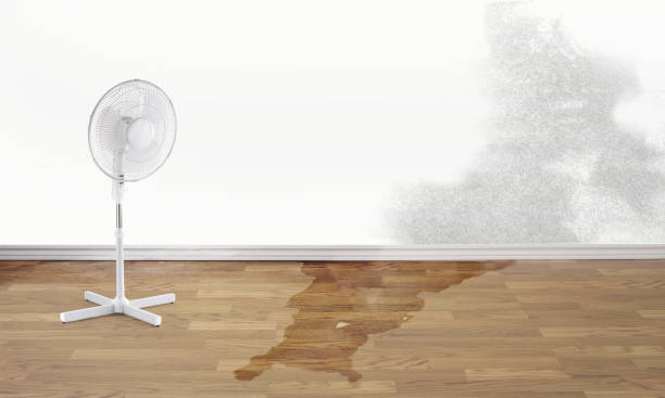 Best Emergency water damage restoration  in Tallahassee, FL
