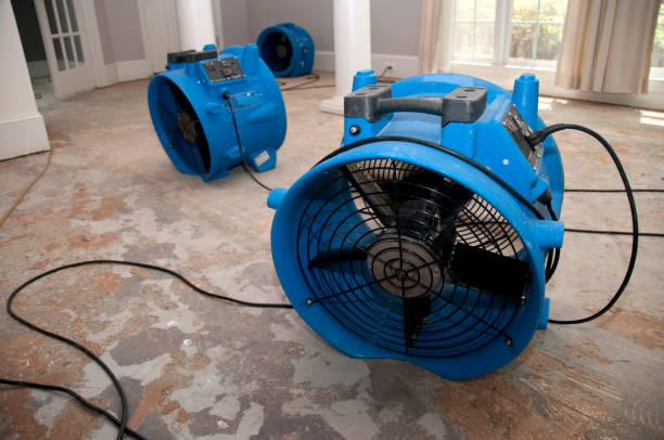Best Water damage contractors near me  in Tallahassee, FL