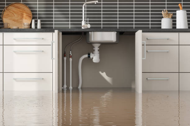 Best Sewage cleanup and water damage restoration  in Tallahassee, FL