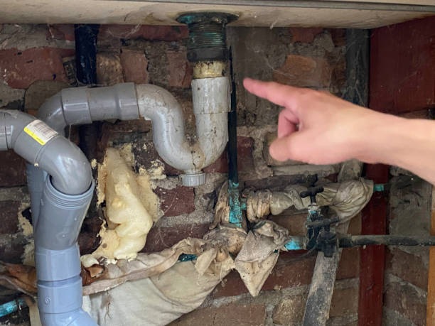 Best Professional water damage repair  in Tallahassee, FL