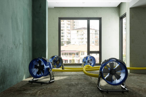 Best Carpet water damage restoration  in Tallahassee, FL