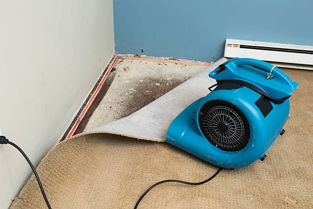 Best Flood restoration services  in Tallahassee, FL